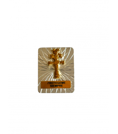 Placa Coche Rectangular