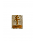 Placa Coche Rectangular